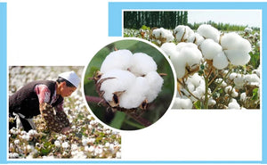 Collage of images showing cotton plants, harvested cotton, and a person working in a cotton field.