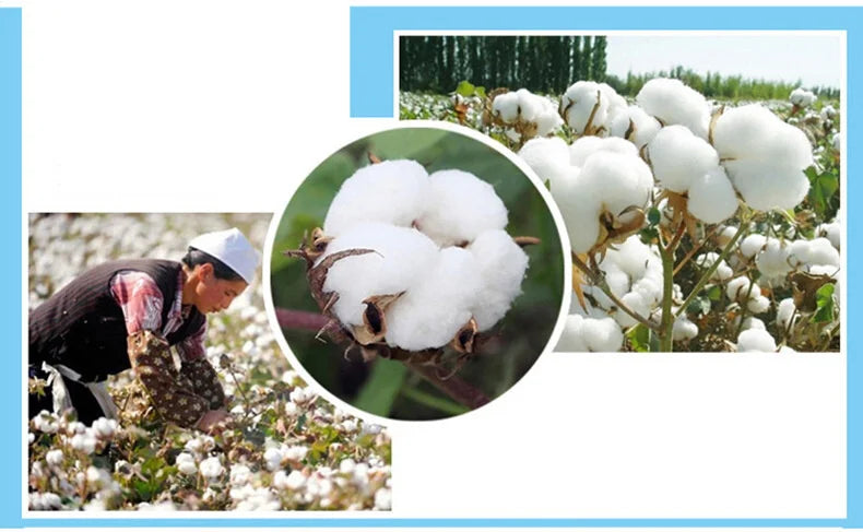 Collage of images showing cotton plants, harvested cotton, and a person working in a cotton field.