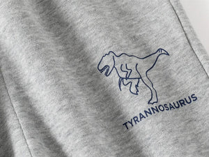 Gray sweatshirt with a blue Tyrannosaurus logo on a white background