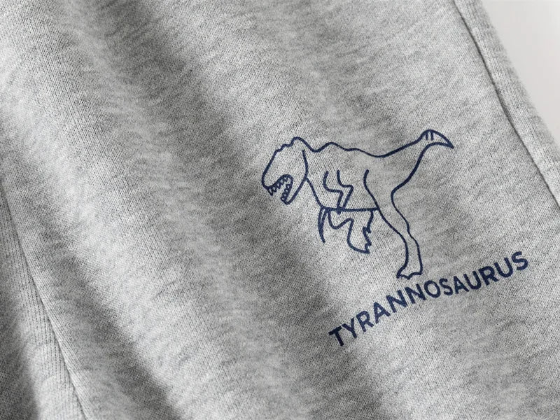 Gray sweatshirt with a blue Tyrannosaurus logo on a white background